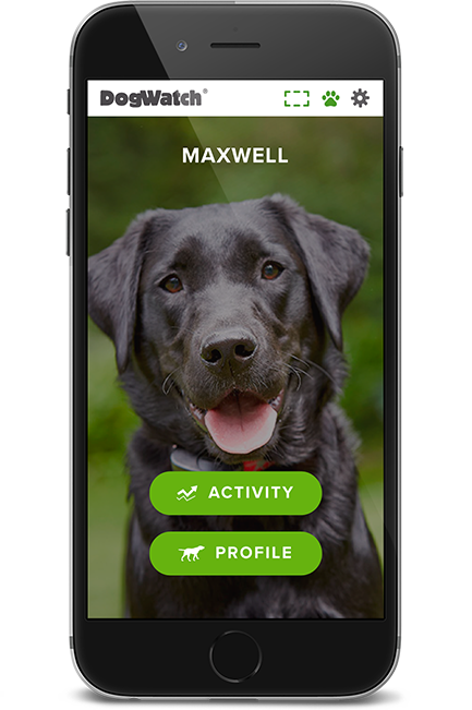 DogWatch of Northeast Wisconsin, Green Bay, Wisconsin | SmartFence WebApp Image