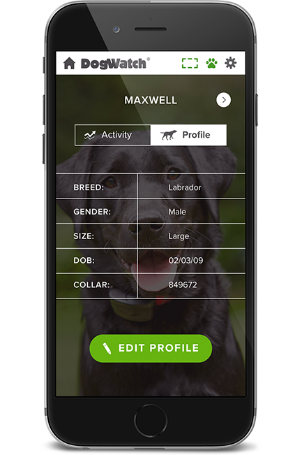 DogWatch of Northeast Wisconsin, Green Bay, Wisconsin | SmartFence WebApp Image